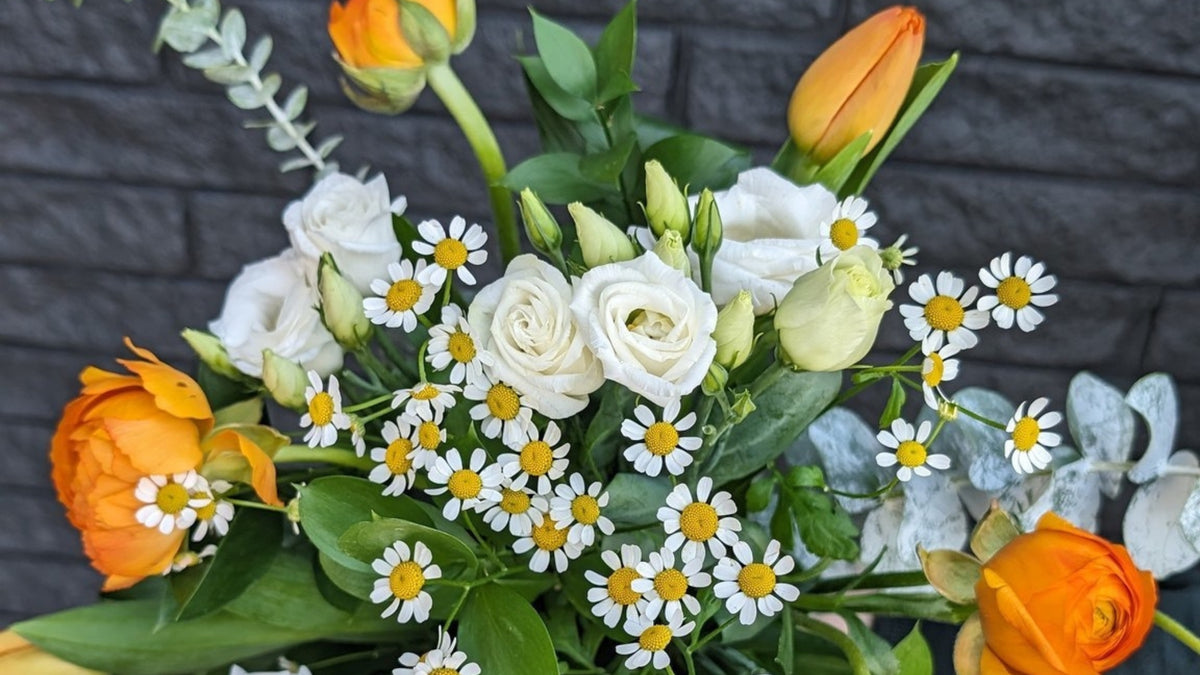 Langage des fleurs : découvrir la signification des fleurs populaires au Québec