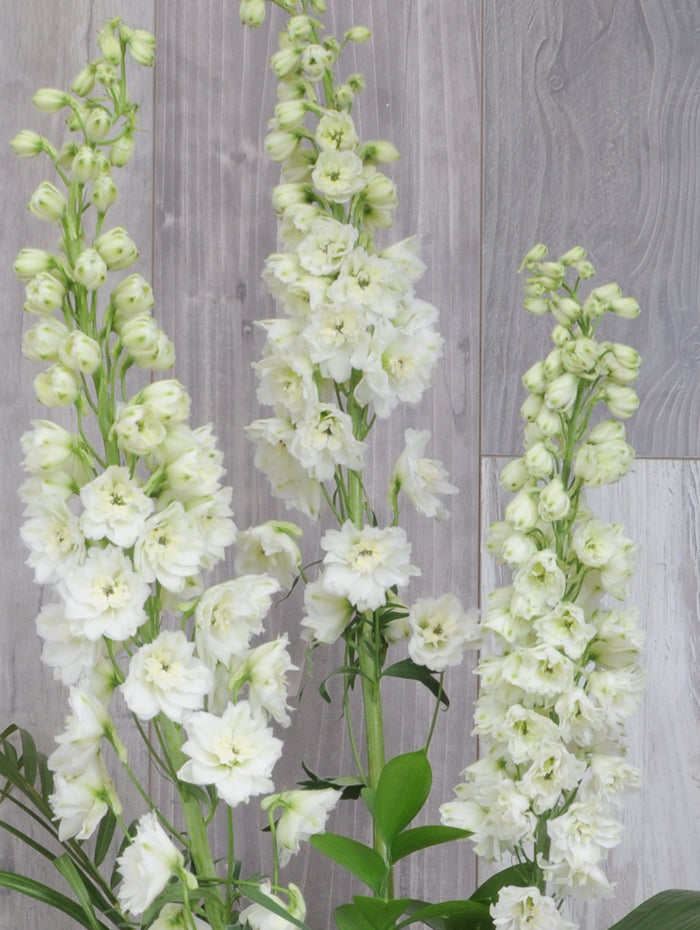 Arrangement funéraire doux champêtre