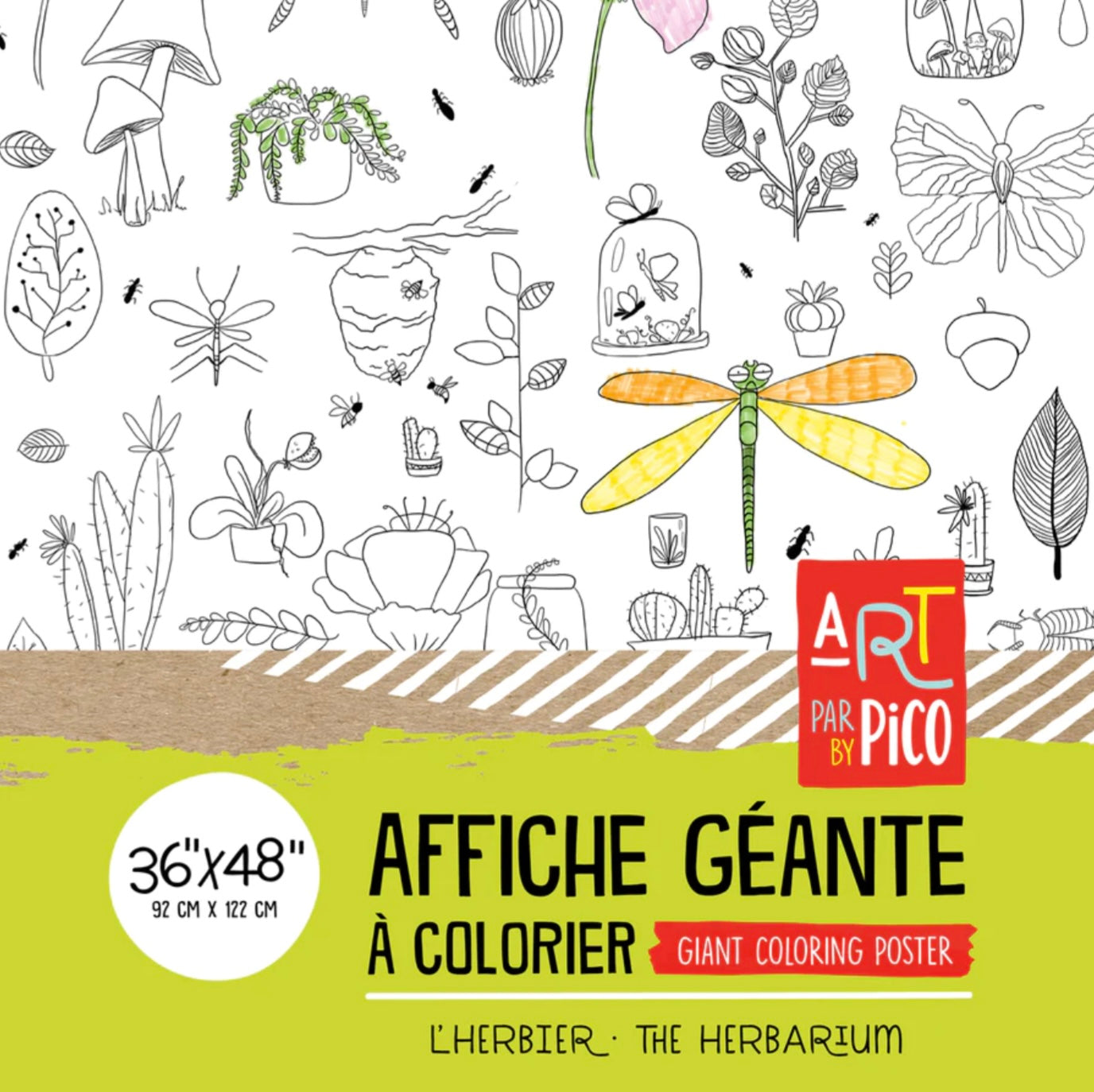 Coloriage géant Pico Tatoo l'herbier