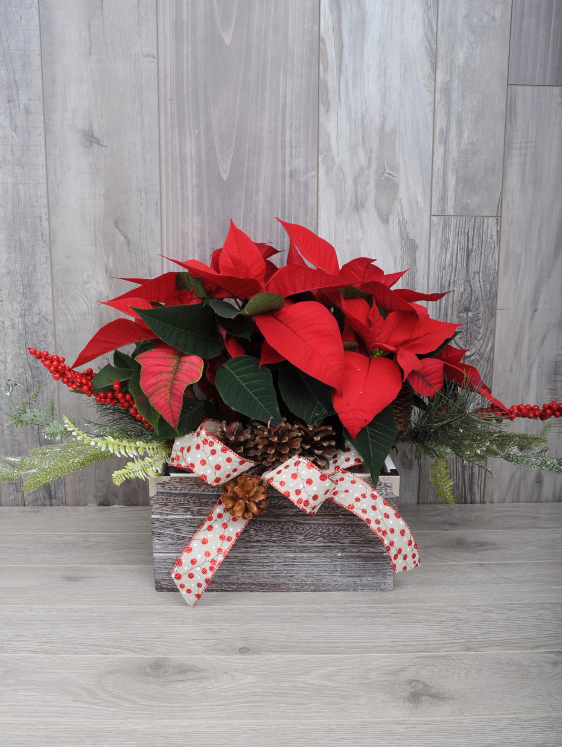 Poinsettia En Duo