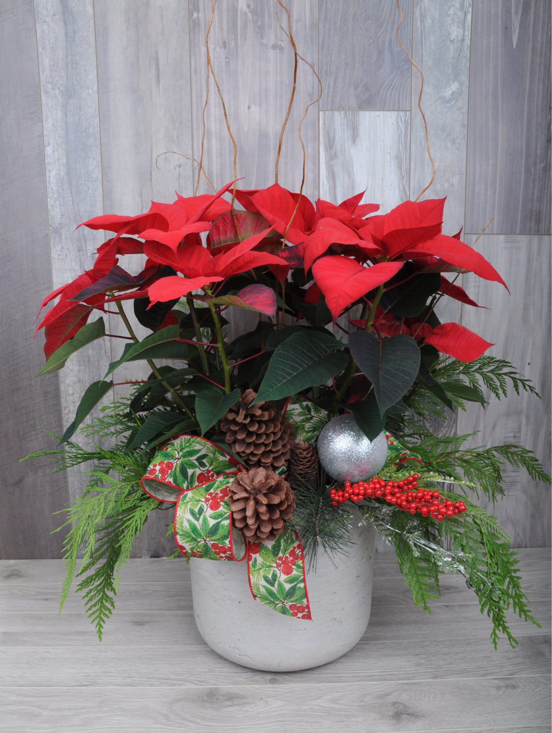 Poinsettia Élégant