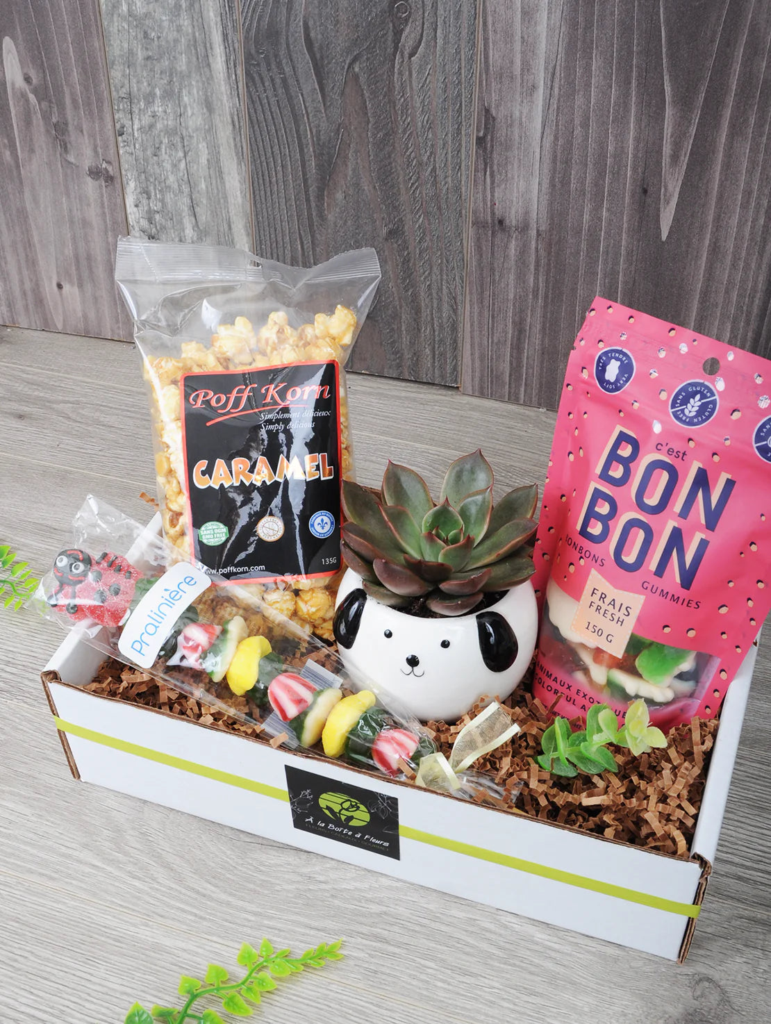 Plante succulente et succulentes sucreries