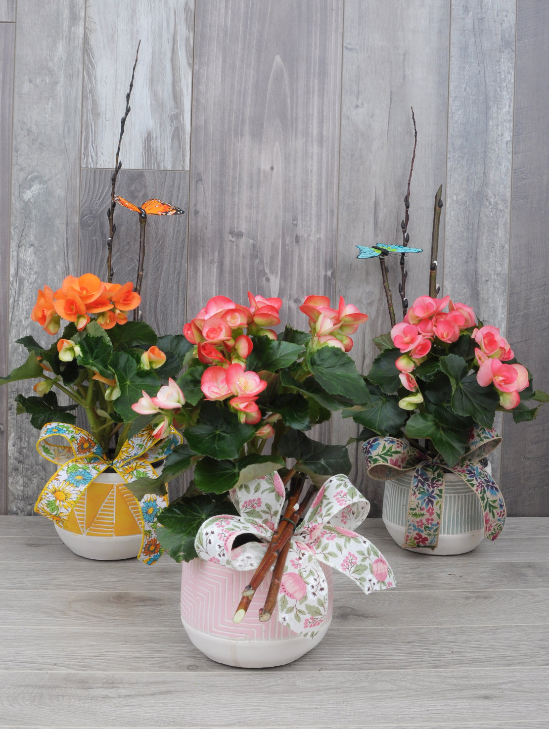 Floraison printanière