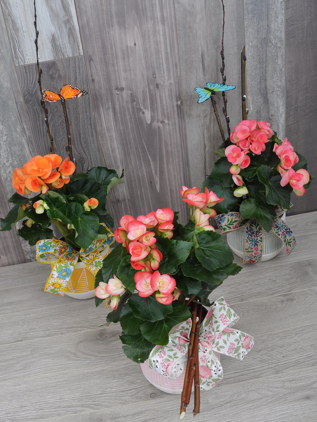 Floraison printanière