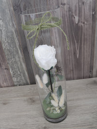 Rose éternelle et eucalyptus