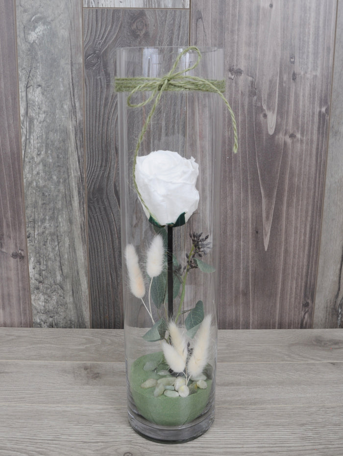 Rose éternelle et eucalyptus