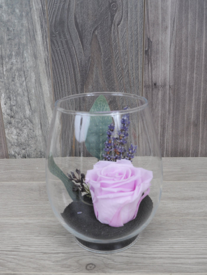Rose eternelle et lavande