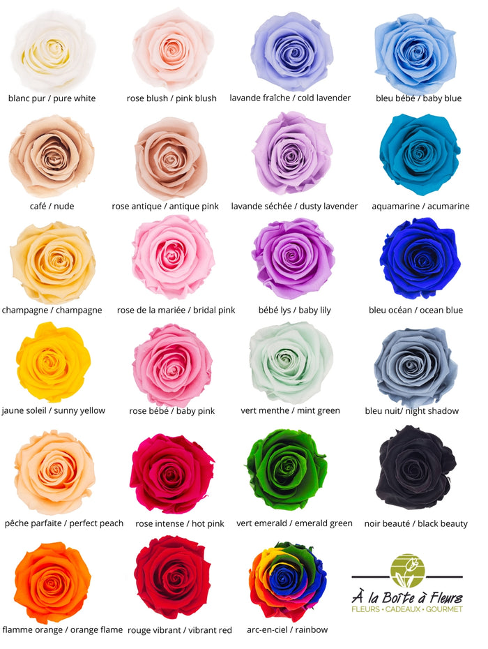 Roses eternelles chartre des couleurs
