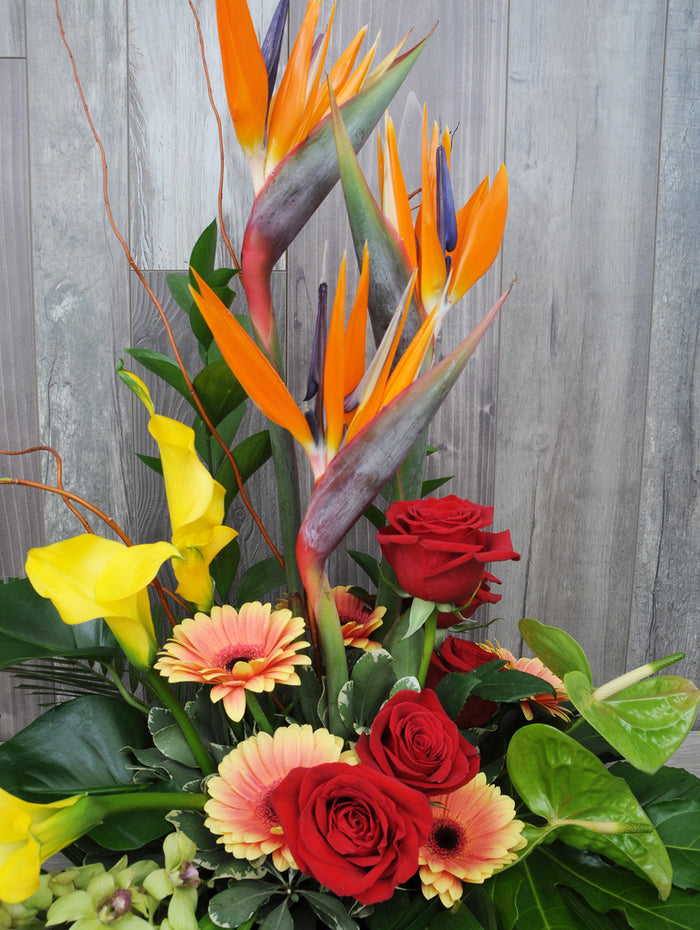 Un hommage haut en couleurs