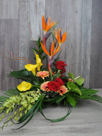 Un hommage haut en couleurs