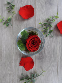 Rose éternelle rouge romantique