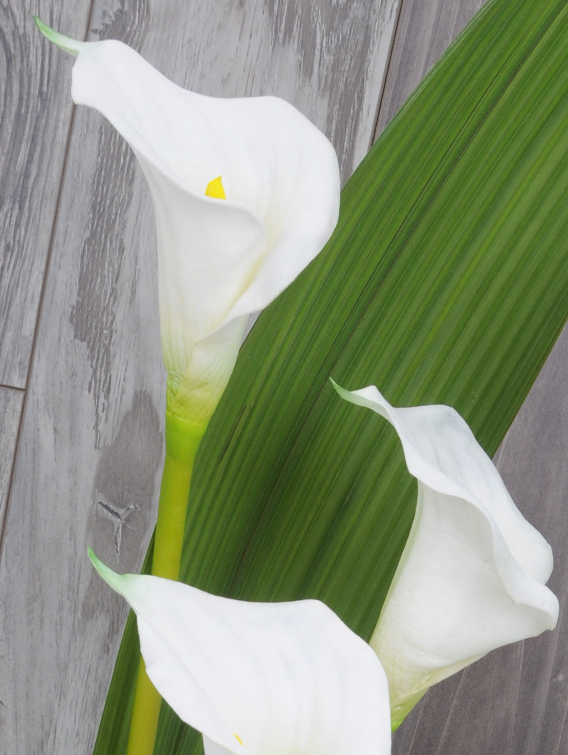 Callas artificiel fleurs pour funérailles douces et modernes
