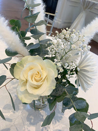Bohème et pampas