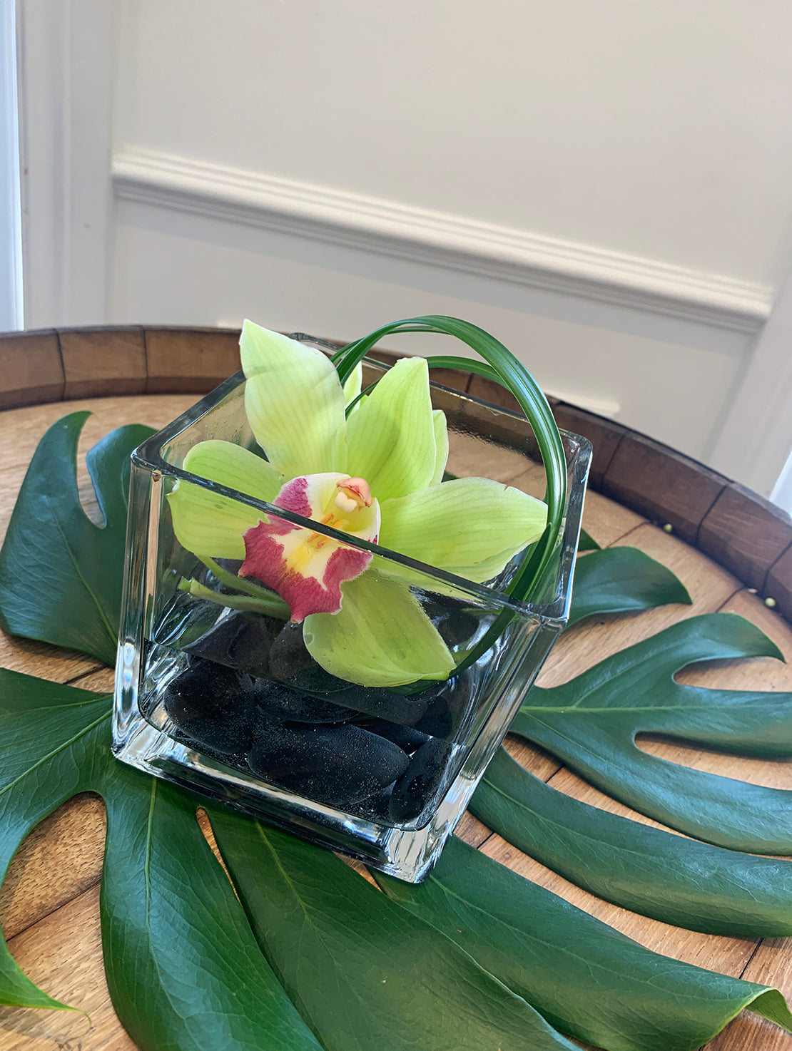 Cymbidium et monstera