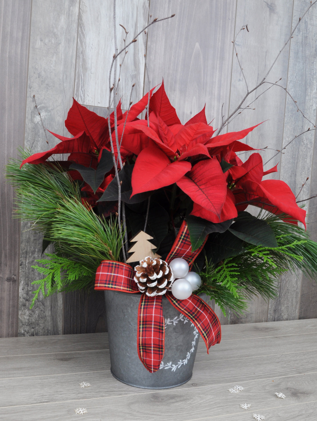 Poinsettia to be delivered as a gift