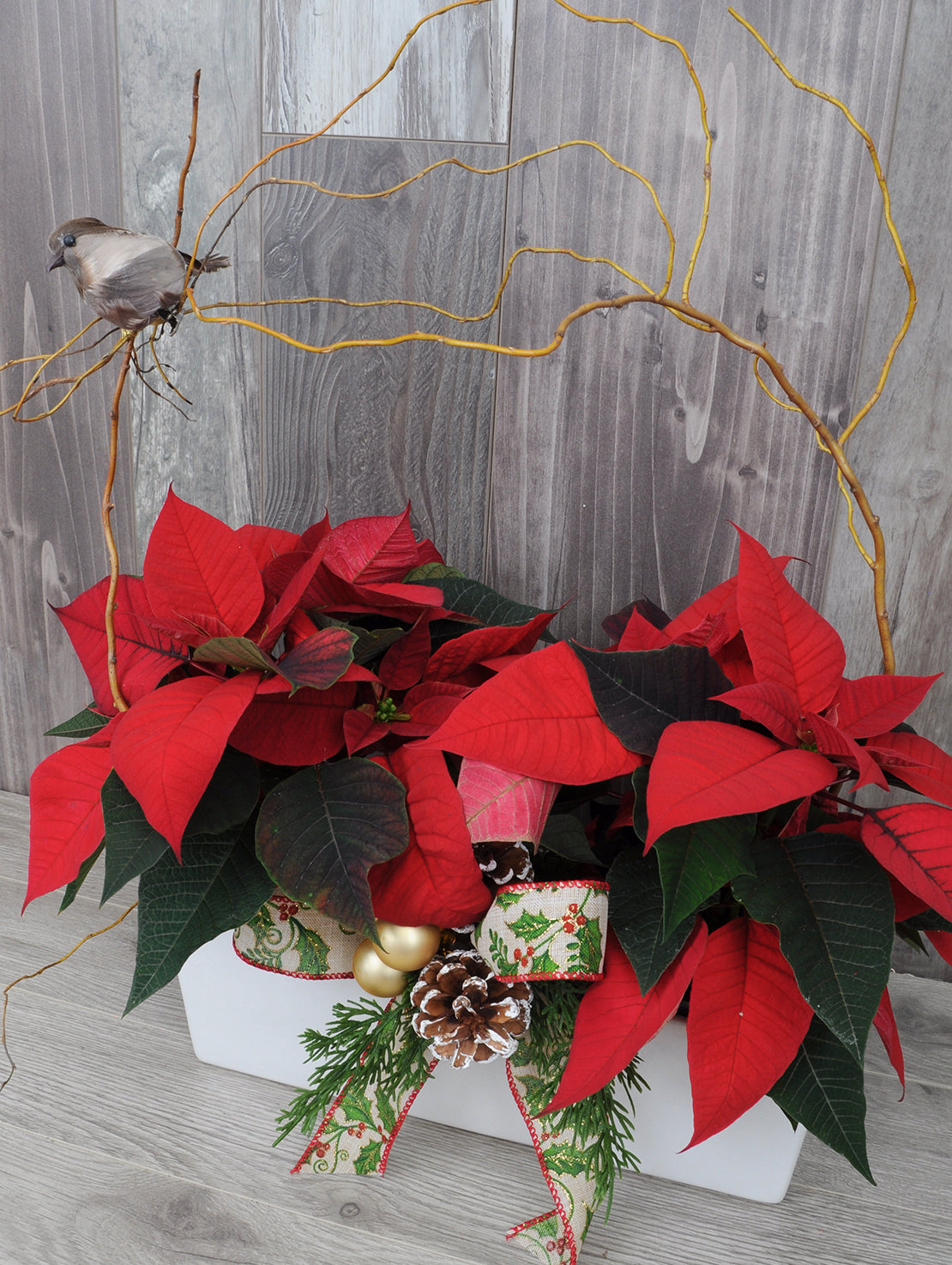 Poinsettia DELUXE
