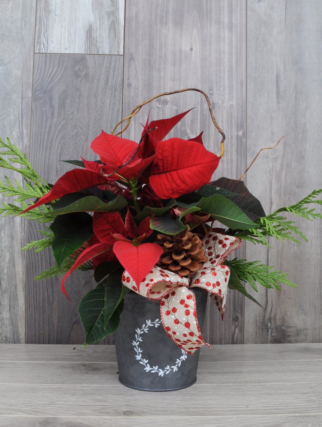 Poinsettia à faire livrer en cadeau
