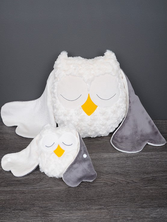 NAI031 sully la chouette