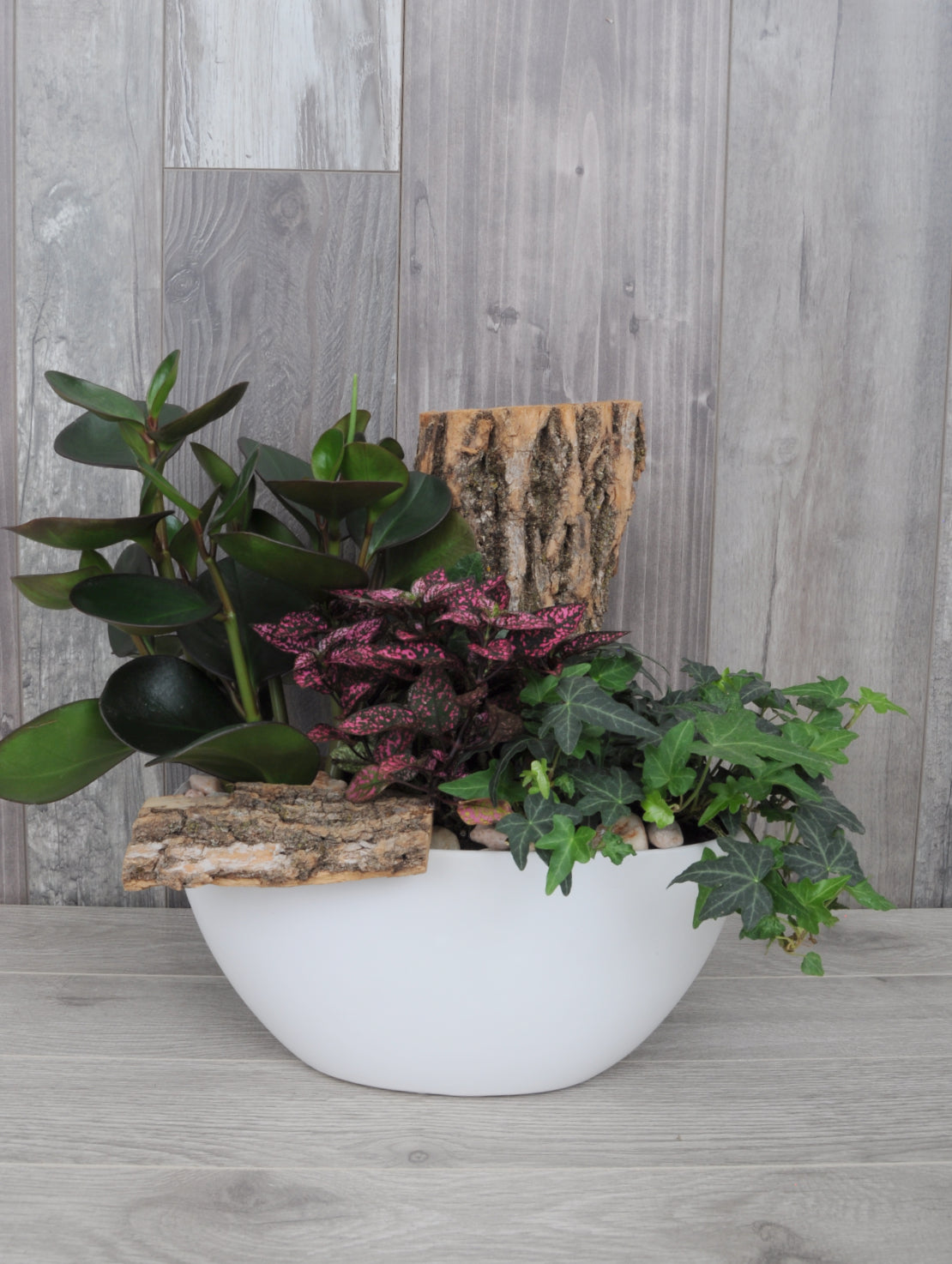 Trio de plantes tropicales