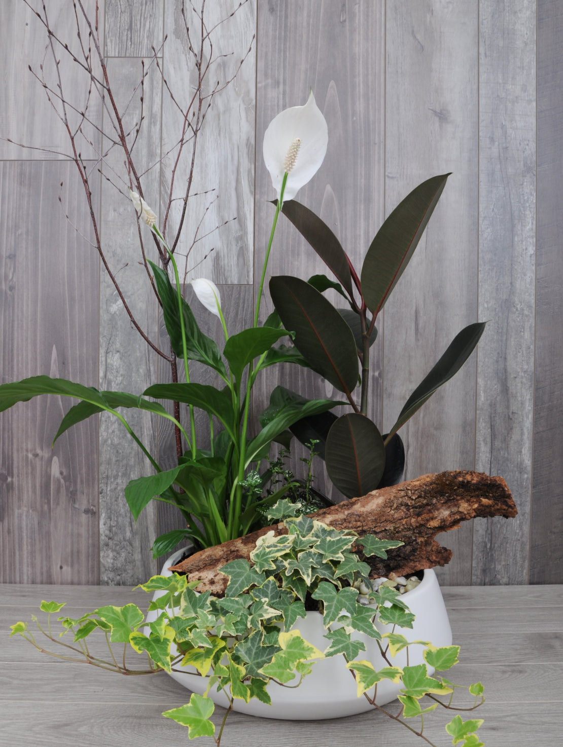 Quatuor de plantes tropicales