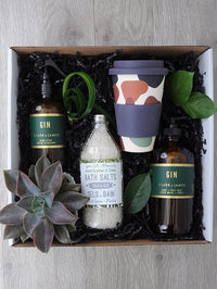 BTE045 plante succulente et soins