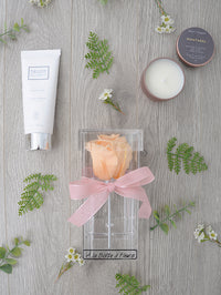 BTE052 rose eternelle et soins