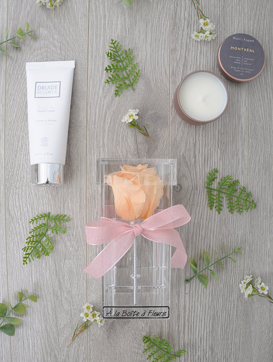 BTE052 rose eternelle et soins