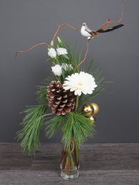 NOE268 gerbera de noel