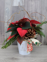 NOE286 poinsettia chic et classique