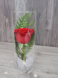 NOE296 le parfait centre de table en verre