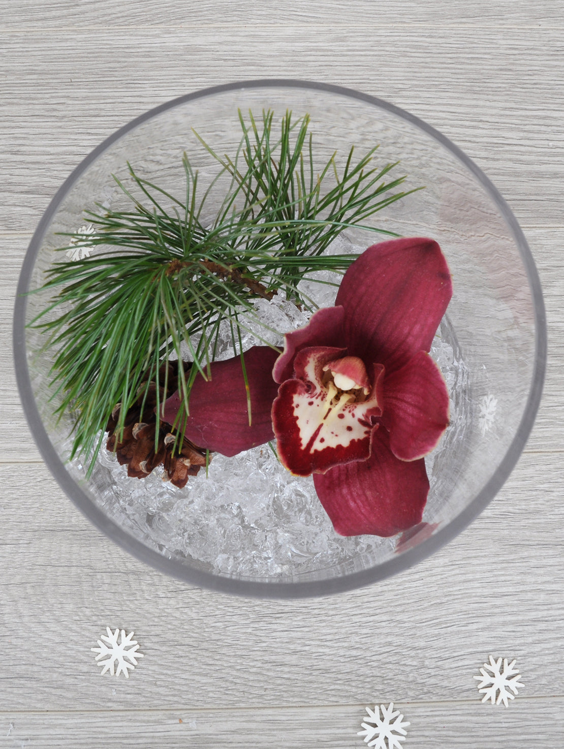 NOE299 une fleur sur glace