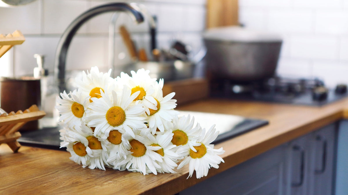 Décorez votre intérieur avec des fleurs 5 idées pour un style unique