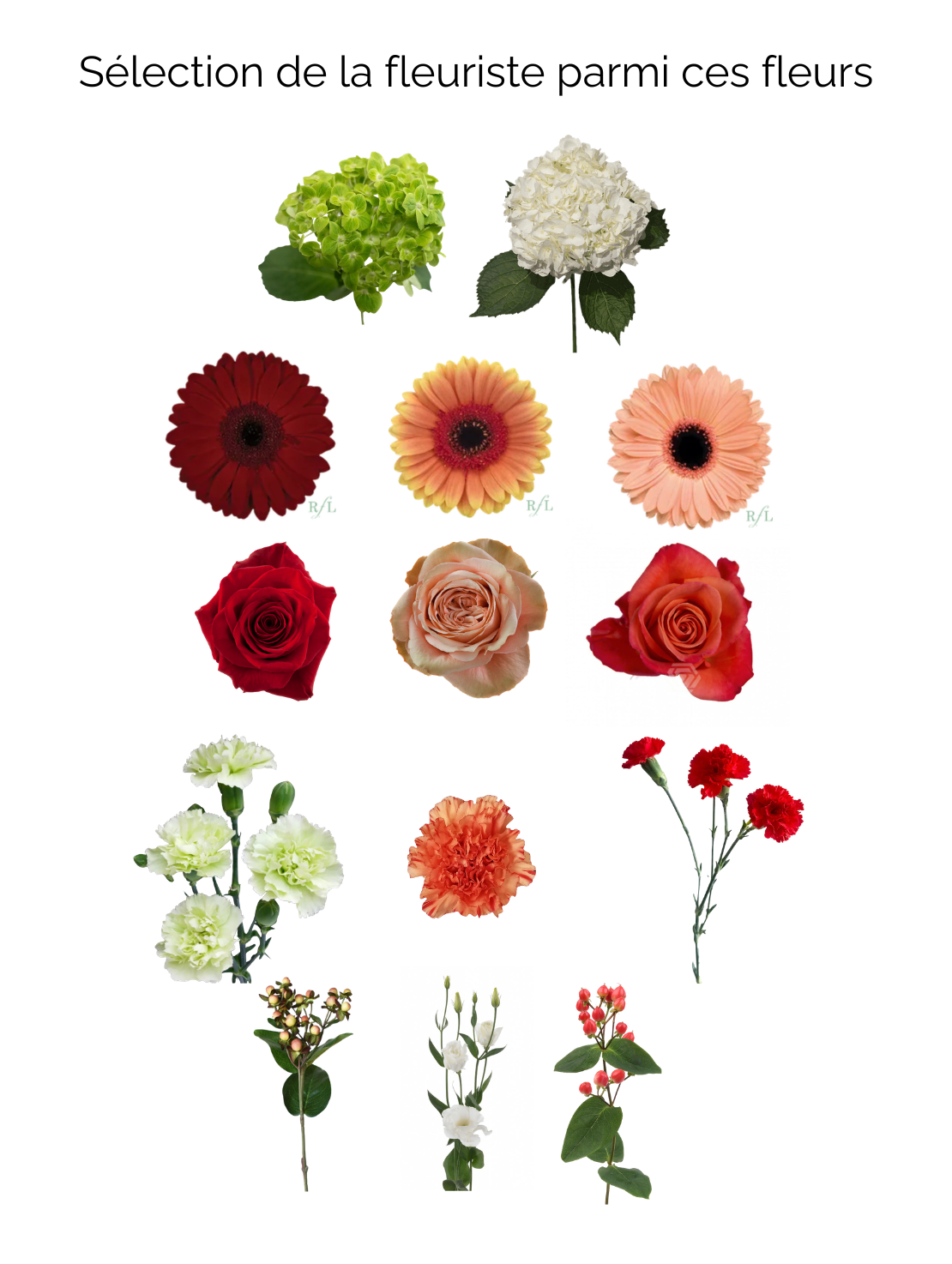 Bouquet happiness