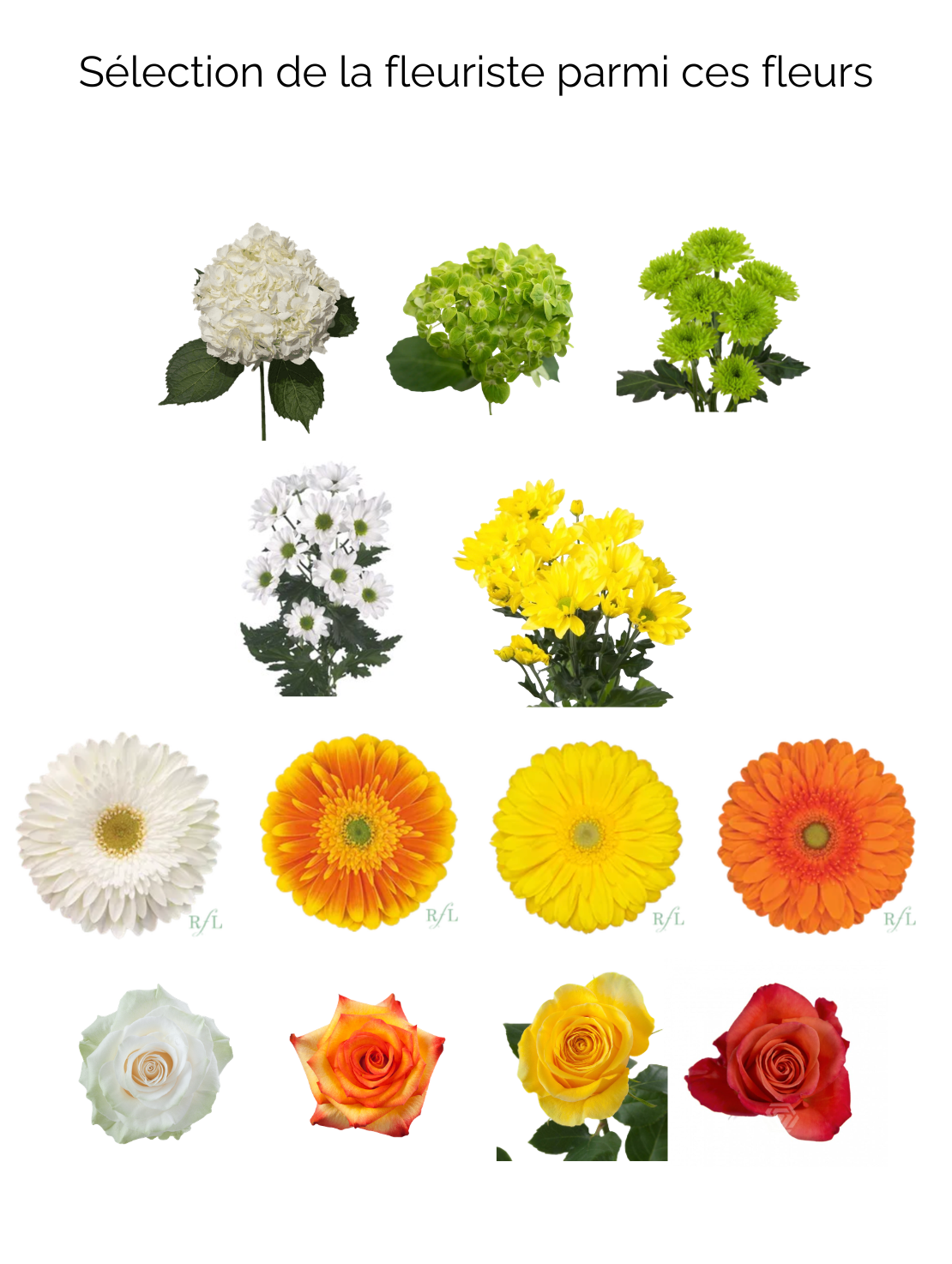 Roses, Daisies & Gerberas