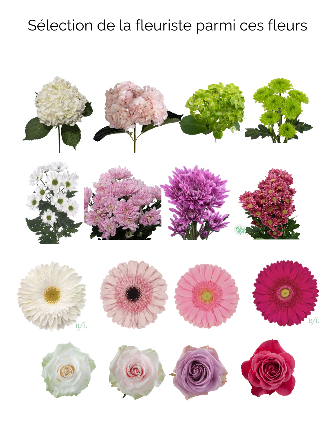 Roses, Daisies & Gerberas