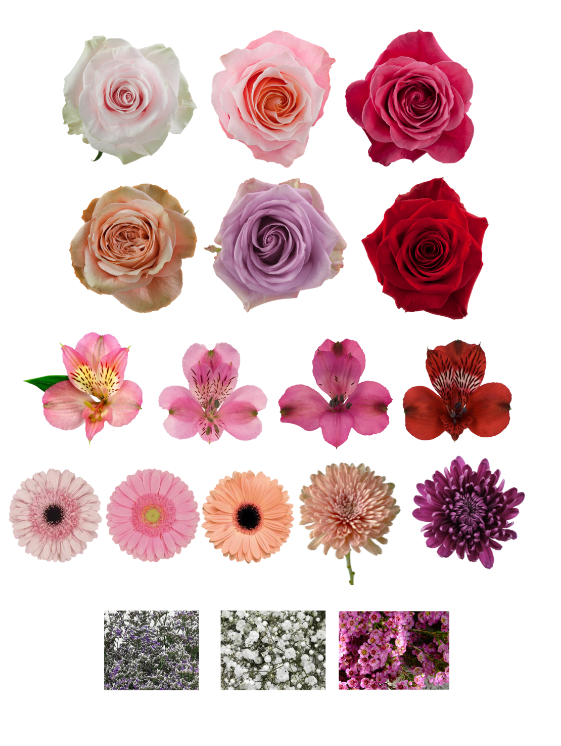 Flowers to say thank you