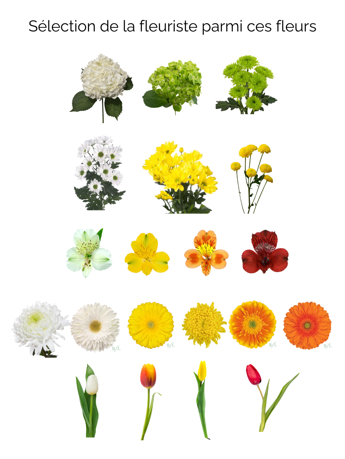 Bouquet of flowers tender breeze