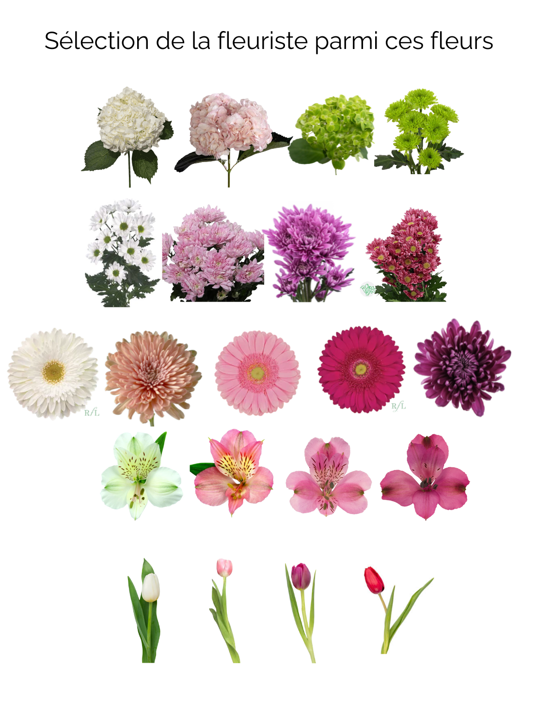 Bouquet of flowers tender breeze