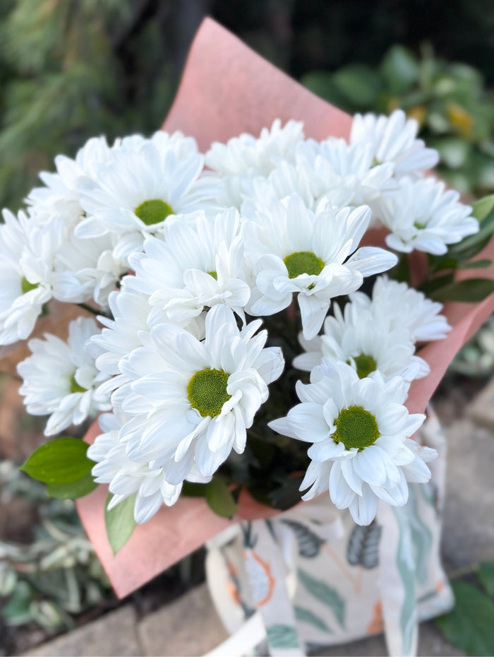 BQT193 Le bouquet de marguerites parfait