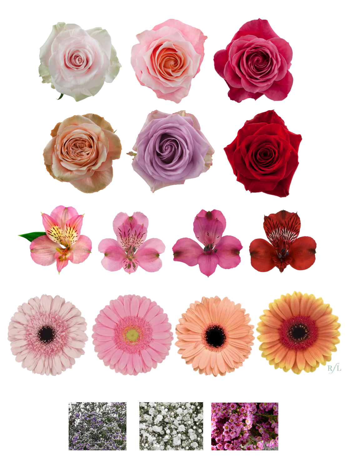 BQT196 Des fleurs pour te dire merci