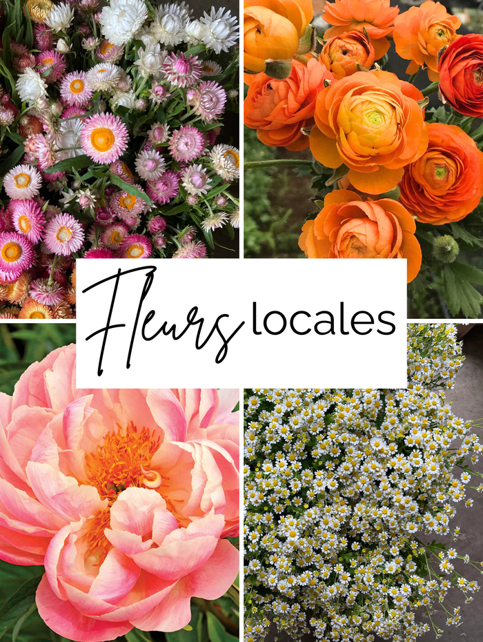 Bouquet de fleurs locales pour toi
