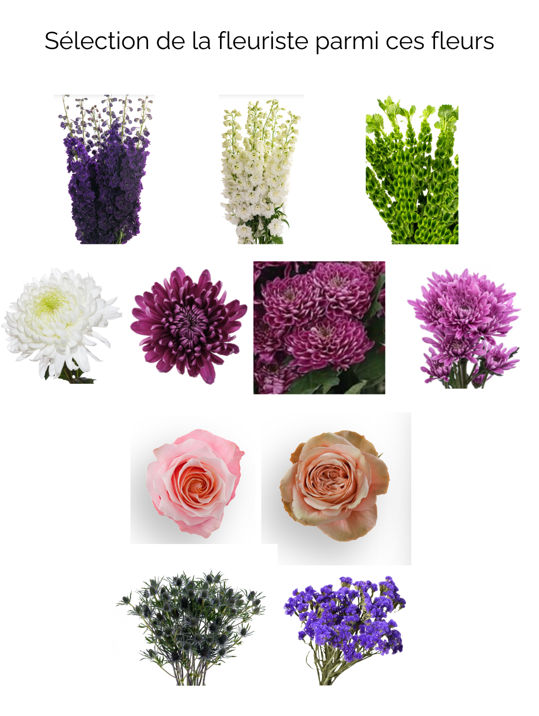 Bouquet of flowers colorful elegance