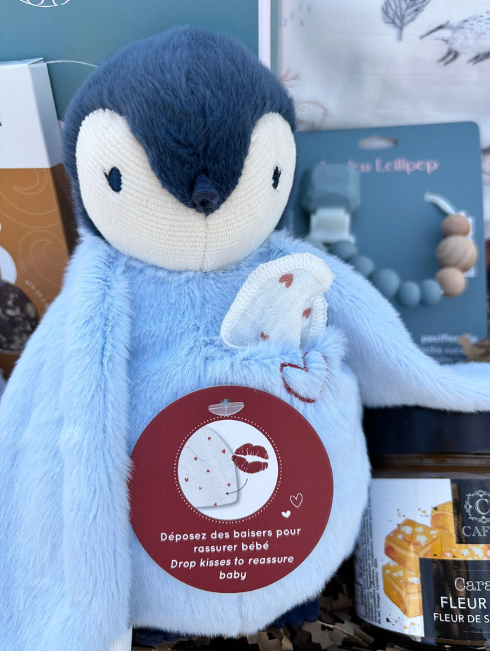 BTE031 Boîte cadeau bébé réconfort