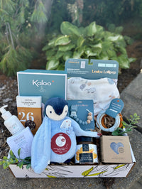 BTE031 Boîte cadeau bébé réconfort 