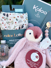 BTE043 Boîte cadeau peluche et doudou