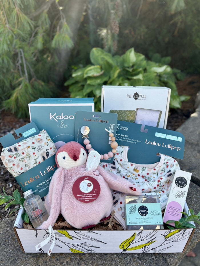 BTE043 Boîte cadeau peluche et doudou