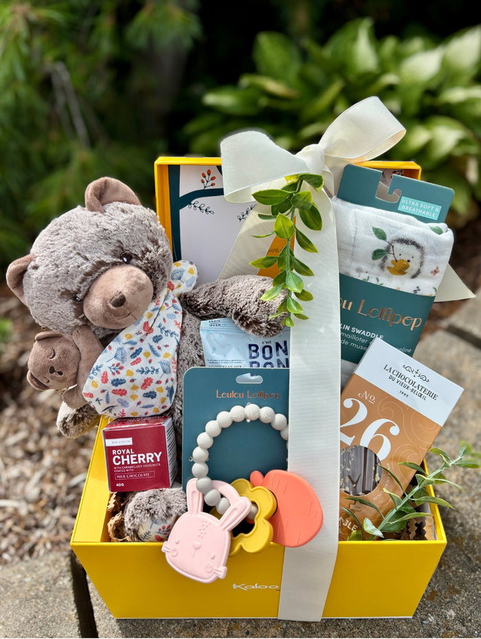 BTE044 boite cadeau bébé et sa peluche