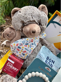 BTE044 boite cadeau bébé et as peluche