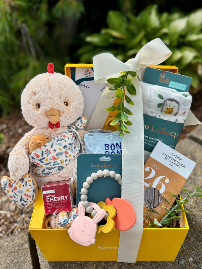 BTE044 Boîte cadeau bébé et sa peluche