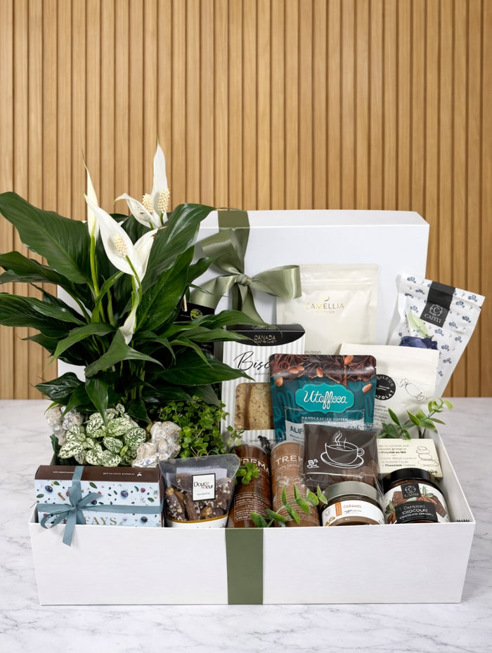 BTE251 Boîte cadeau pour offrir ses sympathies